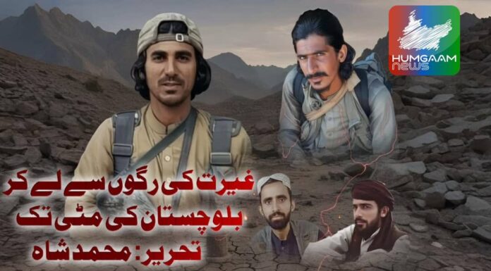 غیرت کی رگوں سے لے کر بلوچستان کی مٹی تک تحریر: محمد شاه