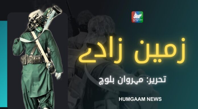 زمین زادے تحریر: مہروان بلوچ