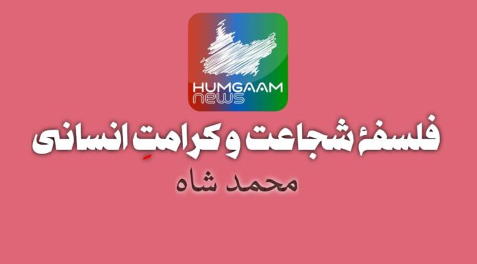 فلسفۂ شجاعت و کرامتِ انسانی تحریر: محمد شاہ