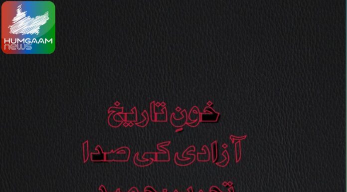 خونِ تاریخ آزادی کی صدا تحریر: حمید بلوچ