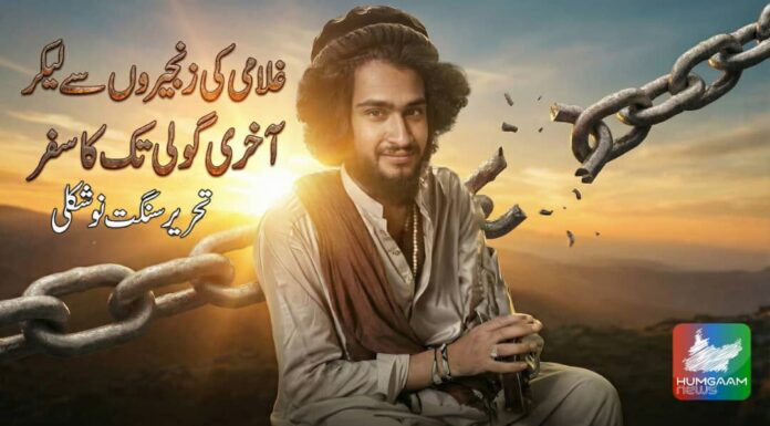 غلامی کی زنجیروں سے لیکر آخری گولی تک کا سفر شہید زاہد جان عرف جنگو تحریر: سنگت نوشکلی