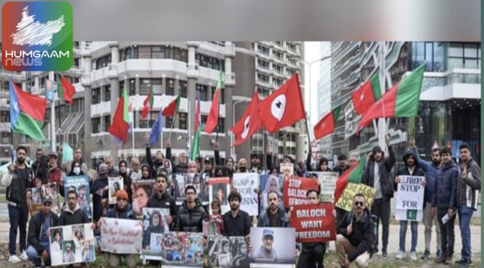 انسانی حقوق کا عالمی دن : بی این ایم کا ڈچ پارلیمنٹ کے سامنے احتجاجی مظاہرہ