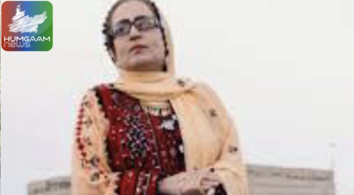 توران حملزهی کی عدالتی کیس جرمانے کی مکمل ادائیگی کے بعد بند قرار دے دیا گیا