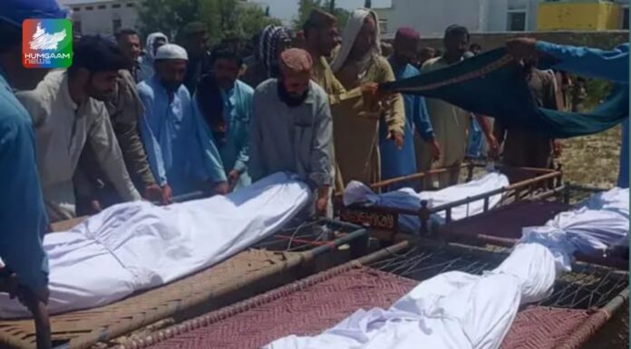 ہرنائی چار مسخ شدہ لاشیں برآمد