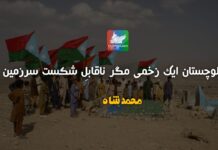 بلوچستان ایک زخمی مگر ناقابلِ شکست سرزمین تحریر: محمد شاه