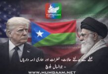 خطے کے بدلتے حالات، خطرات اور ہماری ذمہ داریاں۔ جوانسال بلوچ