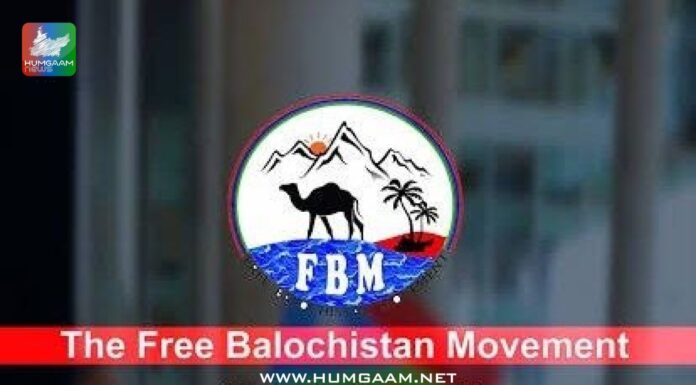 فری بلوچستان موومنٹ کی نئی کابینہ تشکیل، اہم عہدوں پر تقرریاں مکمل