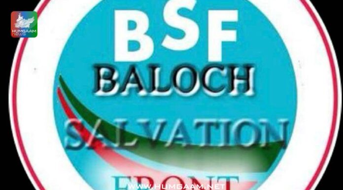 شال پریس کلب میں بلوچ خواتین کو پریس کانفرنس سے روکنا آزادیٔ اظہار کی سنگین خلاف ورزی ہے: بلوچ سالویشن فرنٹ