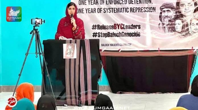 کراچی: بی وائی سی کی آگاہی مہم کے تحت سیمینار، انسانی حقوق کی صورتحال پر گفتگو