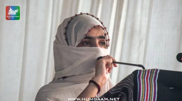شال ڈاکٹر صبیحہ بلوچ نے الزامات کو سیاسی دباؤ قرار دے دیا