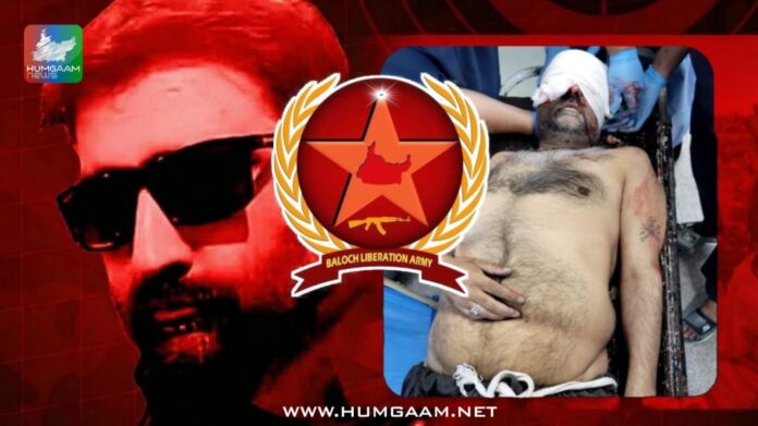 c0faac88-ad38-413b-95e7-33831b405b93