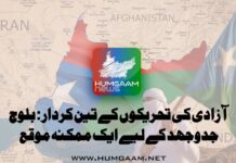 آزادی کی تحریکوں کے تین کردار: بلوچ جدوجہد کے لیے ایک ممکنہ موقع