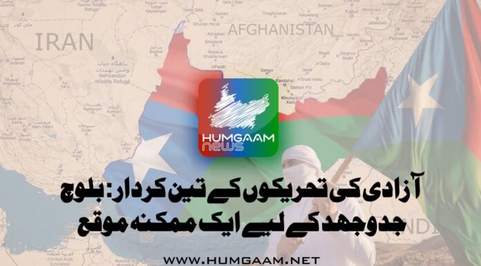 آزادی کی تحریکوں کے تین کردار: بلوچ جدوجہد کے لیے ایک ممکنہ موقع