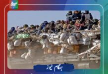 نائجر کے صحارا صحرا میں 50 افراد پیاس اور شدید گرمی سے ہلاک ہوگئے۔