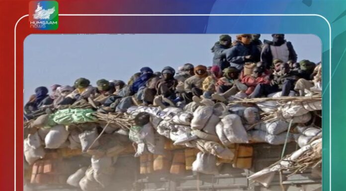 نائجر کے صحارا صحرا میں 50 افراد پیاس اور شدید گرمی سے ہلاک ہوگئے۔