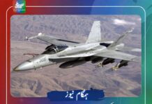 امریکی فوج کا ایف اے 18 ہارنیٹ طیارہ تربیتی پرواز کے دوران گر کر تباہ