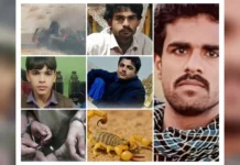 بلوچستان میں المناک 48 گھنٹے: 5 بلوچ جان سے گئے، ایک زخمی، 5 شہری گرفتار، طبی سہولیات کی کمی اور سکیورٹی کارروائیوں پر سوالات