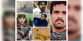 بلوچستان میں المناک 48 گھنٹے: 5 بلوچ جان سے گئے، ایک زخمی، 5 شہری گرفتار، طبی سہولیات کی کمی اور سکیورٹی کارروائیوں پر سوالات