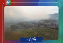 فرانس میں جنگلاتی آگ نے 43 ہزار افراد کو انخلا پر مجبور کردیا