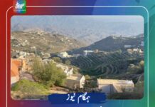 سعودی عرب: ینبع اور جازان میں خطرے کے سائرن بج اٹھے، شہریوں کو الرٹ رہنے کی ہدایت