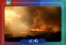 اسپین اور فرانس میں جنگلاتی آگ کے باعث2 لاکھ افراد کا انخلا