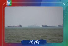 قطر نے دو ہفتوں بعد بحری سرگرمیاں بحال کردیں