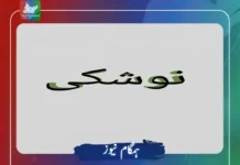 نوشکی میں حملے کے بعد 31 جولائی تک کرفیو نافذ