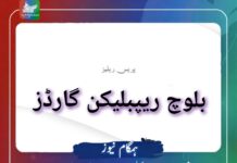 نصیر آباد میں بجلی کے دو ٹاورز کو تباہ کرنے کی ذمہ داری قبول کرتے ہیں۔ بی آر جی