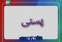 پسنی: ذہنی صحت کے مسائل سے دوچار شخص کوسٹ گارڈز کی فائرنگ سے شہید
