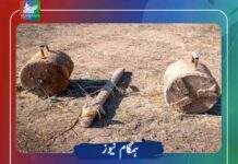 تربت، کلاتک اور سامی لنک روڈ سے 2 آئی ای ڈی برآمد