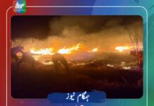 انڈونیشیا میں جنگلاتی آگ آٹھویں روز میں داخل، سینکروں ایکڑ رقبہ جل کر خاکستر