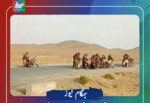 چاغی: پاکستانی فورسز و ڈیتھ اسکواڈ پر حملے، تجارتی گاڑیوں پر قبضہ