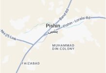 پشین 5 مغوی غیر ملکی باشندوں کو مسلح افراد نے قتل کردیا ایک زخم