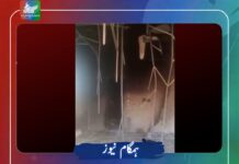چاغی: ریسٹ ہاؤس نذر آتش، گیس پلانٹ پر مسلح چھاپہ