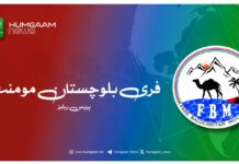 بلوچستان میں جبری گمشدگیوں کے خلاف 29 اگست کو گوٹنگن میں احتجاجی ریلی کا اعلان