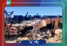 مصر میں مسافر بس خوفناک حادثے کا شکار، 22 افراد جاں بحق؛ 10 اردنی بھی شامل