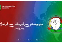 شہید ہاشم کی لازوال قربانی کو سرخ سلام پیش کرتے ہیں، 13 کارروائی میں فوج کے 28 اہلکار ہلاک اور متعدد زخمی ۔ بی ایل ایف