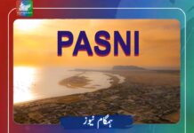 پسنی ،ببر شور کے علاقے میں اتفاقیہ گولی چلنے سے ایک شخص زخمی