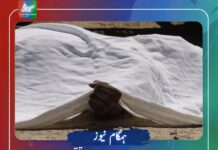 تمپ میں جبری لاپتہ عثمان بلوچ قتل، سوراب، خاران اور وڈھ سے بھی لاشیں برآمد